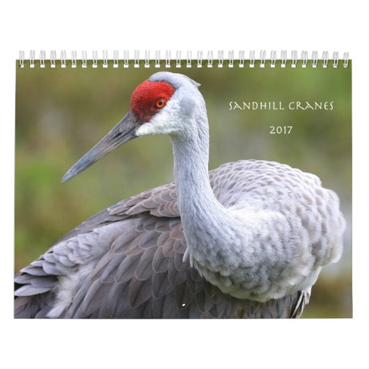 Kalender Sandhill Cranes 2017 (Hoes)