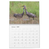 Kalender Sandhill Cranes 2017 (Jan 2027)