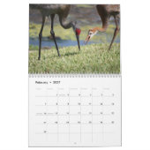 Kalender Sandhill Cranes 2017 (Feb 2027)