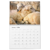 Kalender schapen 2025 (Jan 2026)