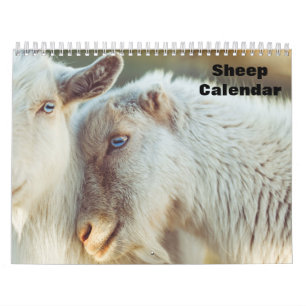 Kalender schapen 2025