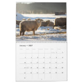 Kalender schapen 2026 (Jan 2027)