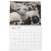 Kalender schapen 2026 (Feb 2027)