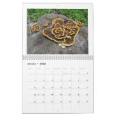 Kalender - Schimmel onder ons (Jan 2026)