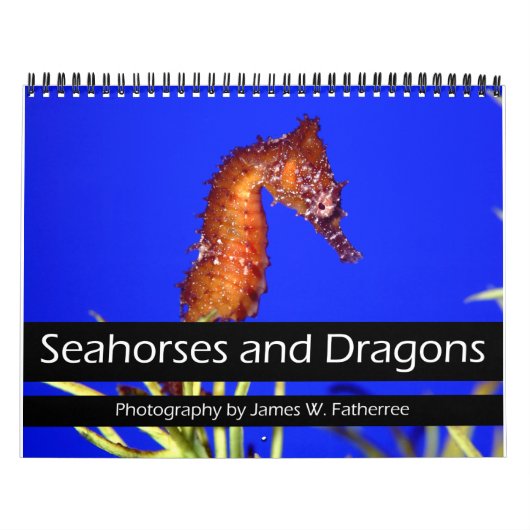 Kalender Seapaarden en Dragons (Hoes)