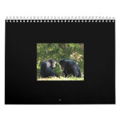 kalender van apen (Hoes)