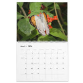 Kalender van buiken en pijlers (Mar 2026)