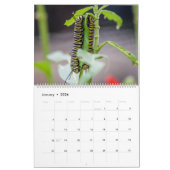 Kalender van buiken en pijlers (Jan 2026)