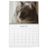 Kalender van Dave's Garden 2025 (Jan 2026)