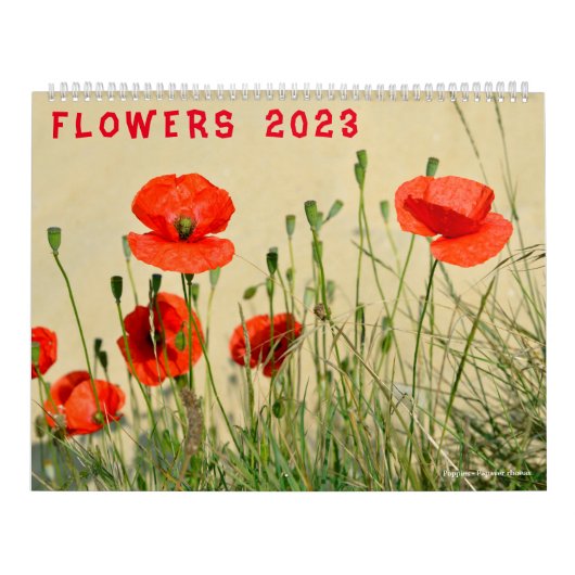 Kalender van de bloemen 2023 (Hoes)