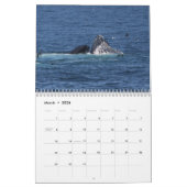 Kalender van de Humpback Whales (Mar 2026)