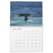 Kalender van de Humpback Whales (Jan 2026)