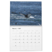 Kalender van de Humpback Whales (Feb 2027)