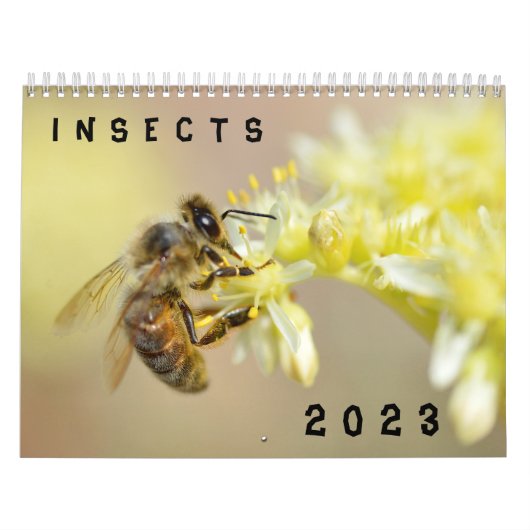 Kalender van diverse insecten (Hoes)