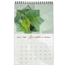 Kalender van God's Meditatie Tuin: ster & woord