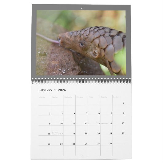 Kalender van het reddingsfonds Pangolin 2024 (Feb 2026)