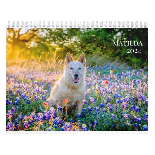 Kalender van Matilda voor 2024 (Hoes)