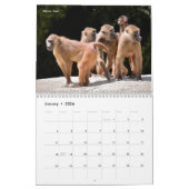 Kalender van verschillende dieren (Jan 2026)