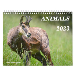 Kalender van verschillende dieren