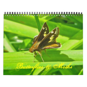 Kalender - Vlinders & Motten