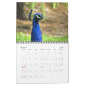 Kalender - vogels (grote datums) (Mar 2027)
