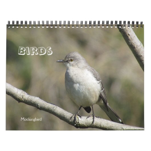 Kalender - vogels (grote datums) (Hoes)