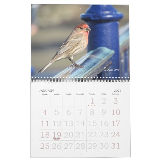 Kalender - vogels (grote datums) (Jan 2026)