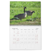 Kalender - vogels (grote datums) (Feb 2026)