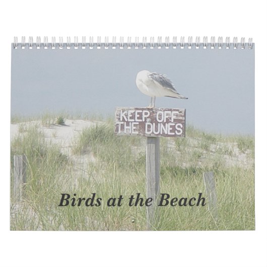 Kalender - Vogels op de strand (Hoes)
