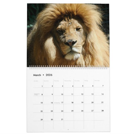 Kalender voor 12 maanden Leeuwenfamilie (Mar 2026)