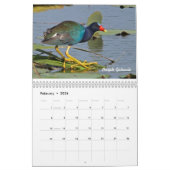 Kalender voor 2015 Shorevogels (Feb 2026)