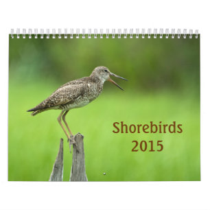 Kalender voor 2015 Shorevogels