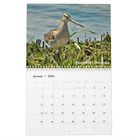 Kalender voor 2015 Shorevogels (Jan 2026)