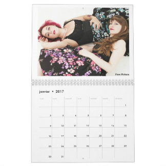 Kalender voor 2017 "Les Owlies"