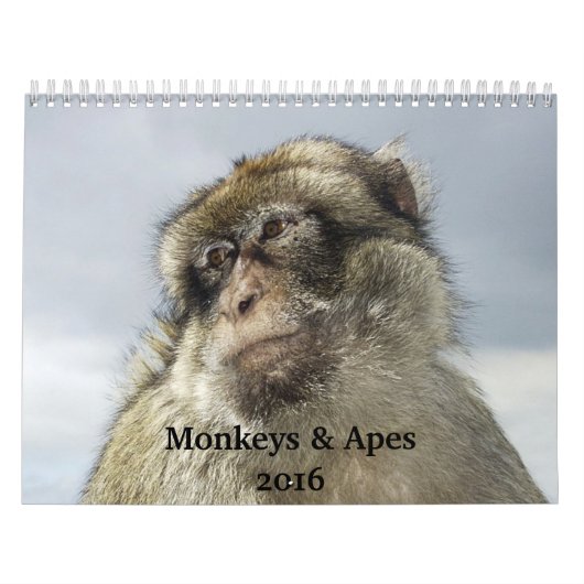 Kalender voor apen en appes 2016 (Hoes)