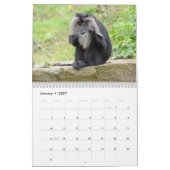 Kalender voor apen en appes 2016 (Jan 2027)