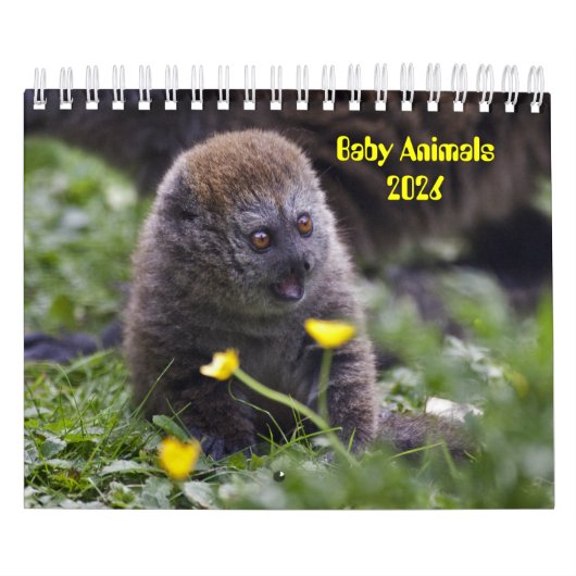 Kalender voor babydieren (Hoes)