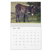 Kalender voor babydieren (Mar 2026)