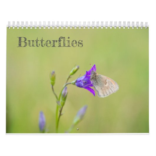 Kalender voor boter (Hoes)