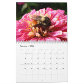 Kalender voor bugs en bloesems 2011 (Feb 2026)