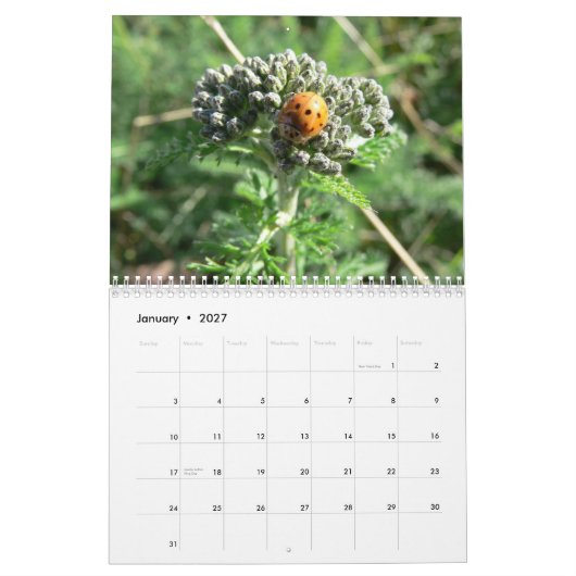 Kalender voor bugs en bloesems 2011 (Jan 2027)