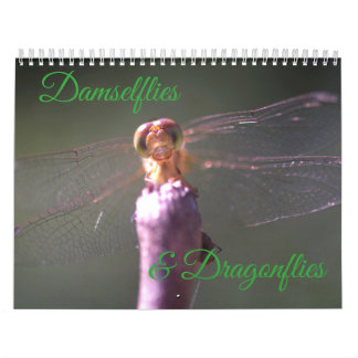 Kalender voor Damselflies en Dragonflies