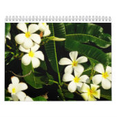 Kalender voor de natuur van Hawaiian. (Hoes)
