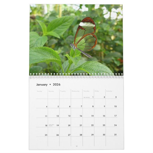 Kalender voor de vlinder 2013 (Jan 2026)