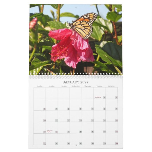 Kalender voor de vlinder 2014 (Jan 2027)