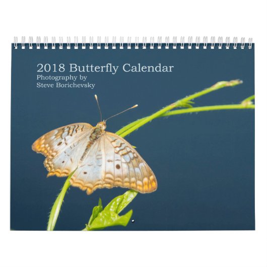 Kalender voor de vlinder 2018 (Hoes)