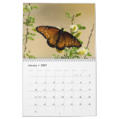Kalender voor de vlinder 2018 (Jan 2027)
