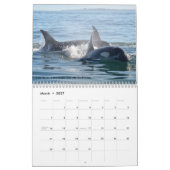 Kalender voor de walvis van de zuidelijke inwoner (Mar 2027)