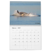Kalender voor de walvis van de zuidelijke inwoner (Feb 2027)