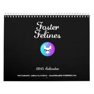 Kalender voor Foster Felines 2015